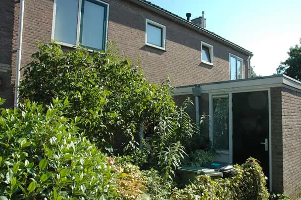 Rijnlaan