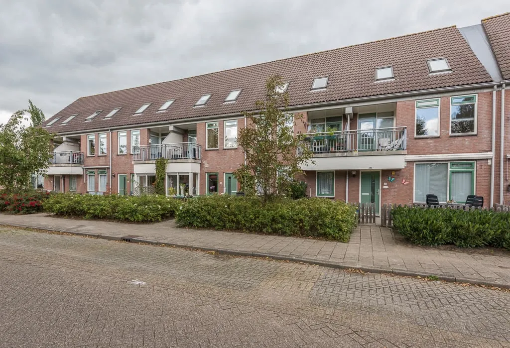 Hoornblad