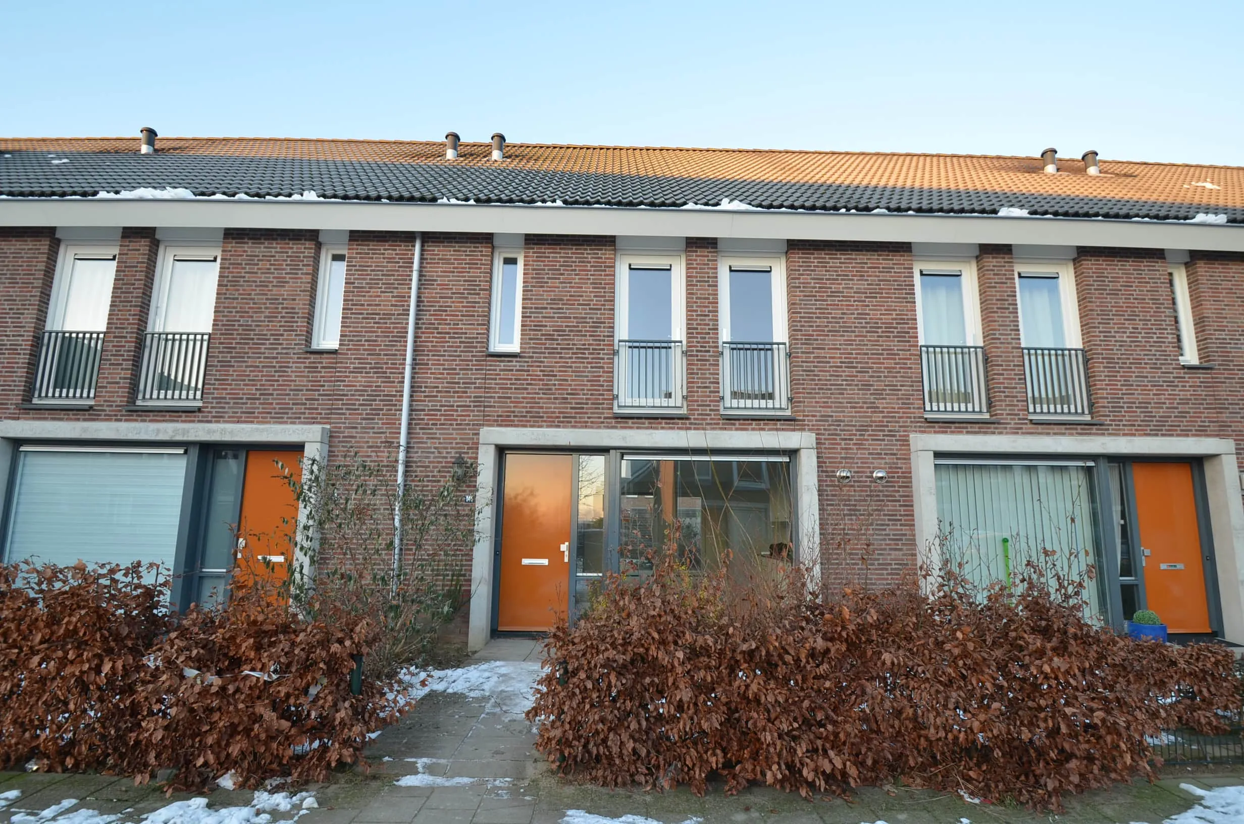 Aardbeivlinder
