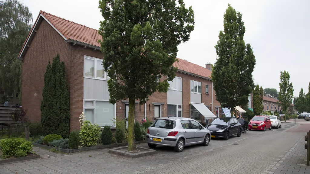 Aart de Gelderstraat