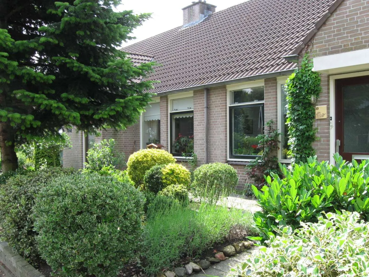 Korenbloemstraat