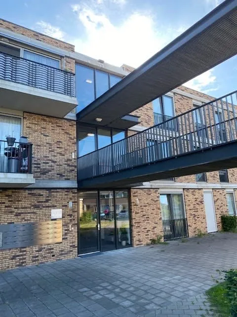 Kamelenspoor