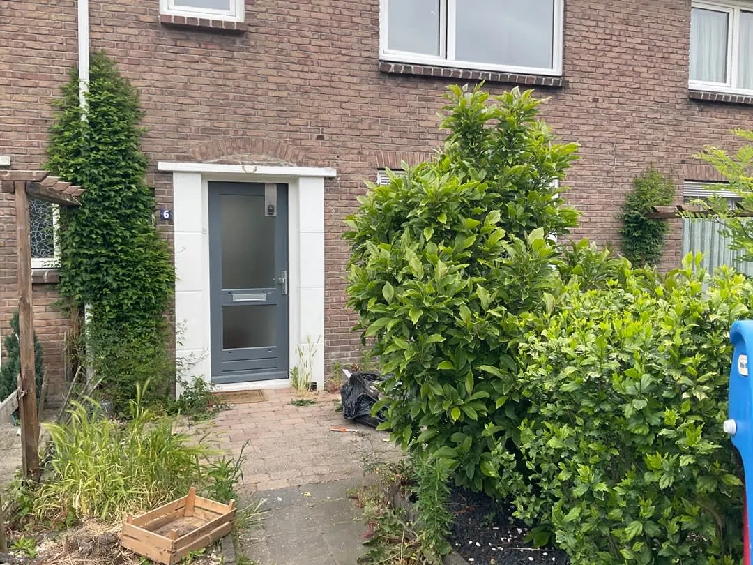 Iepstraat