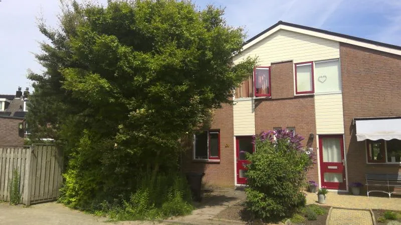 Pinksterbloem
