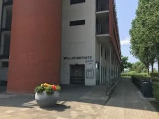 Willensplein