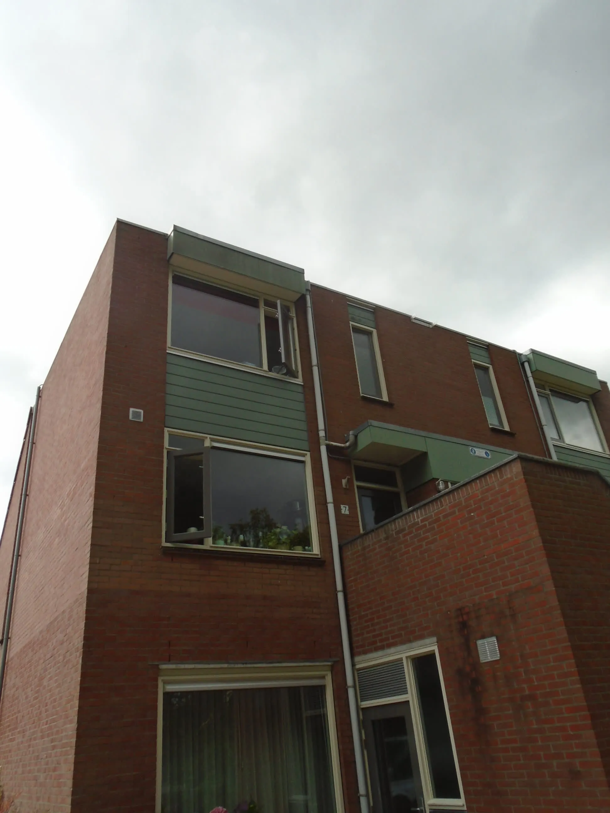 Goudpluviersingel