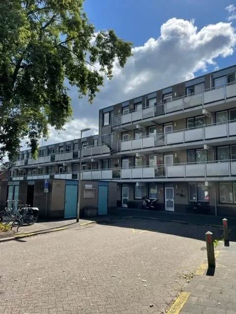 Zilverschoonstraat