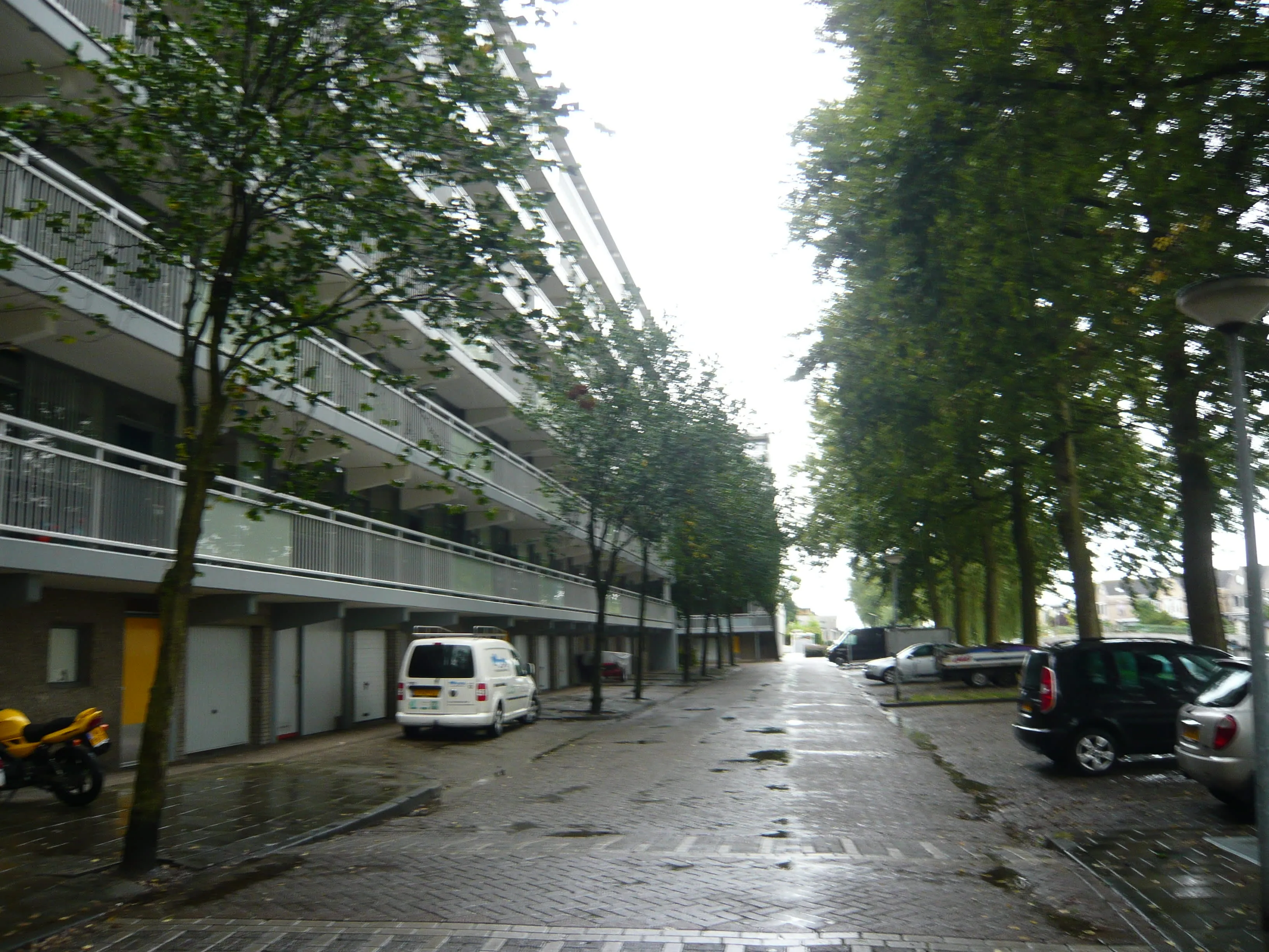 Triangelhof
