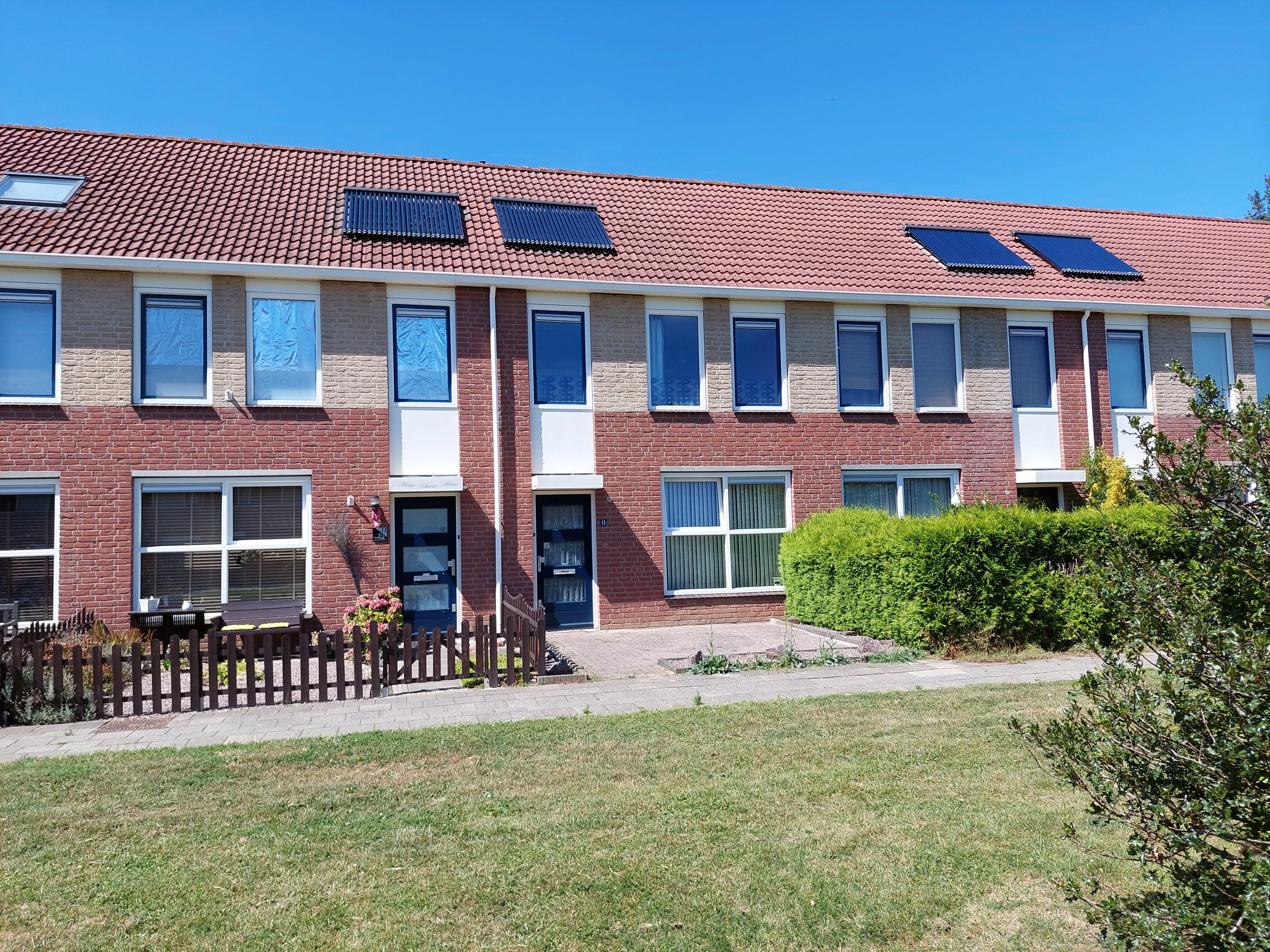 Kattedoorn