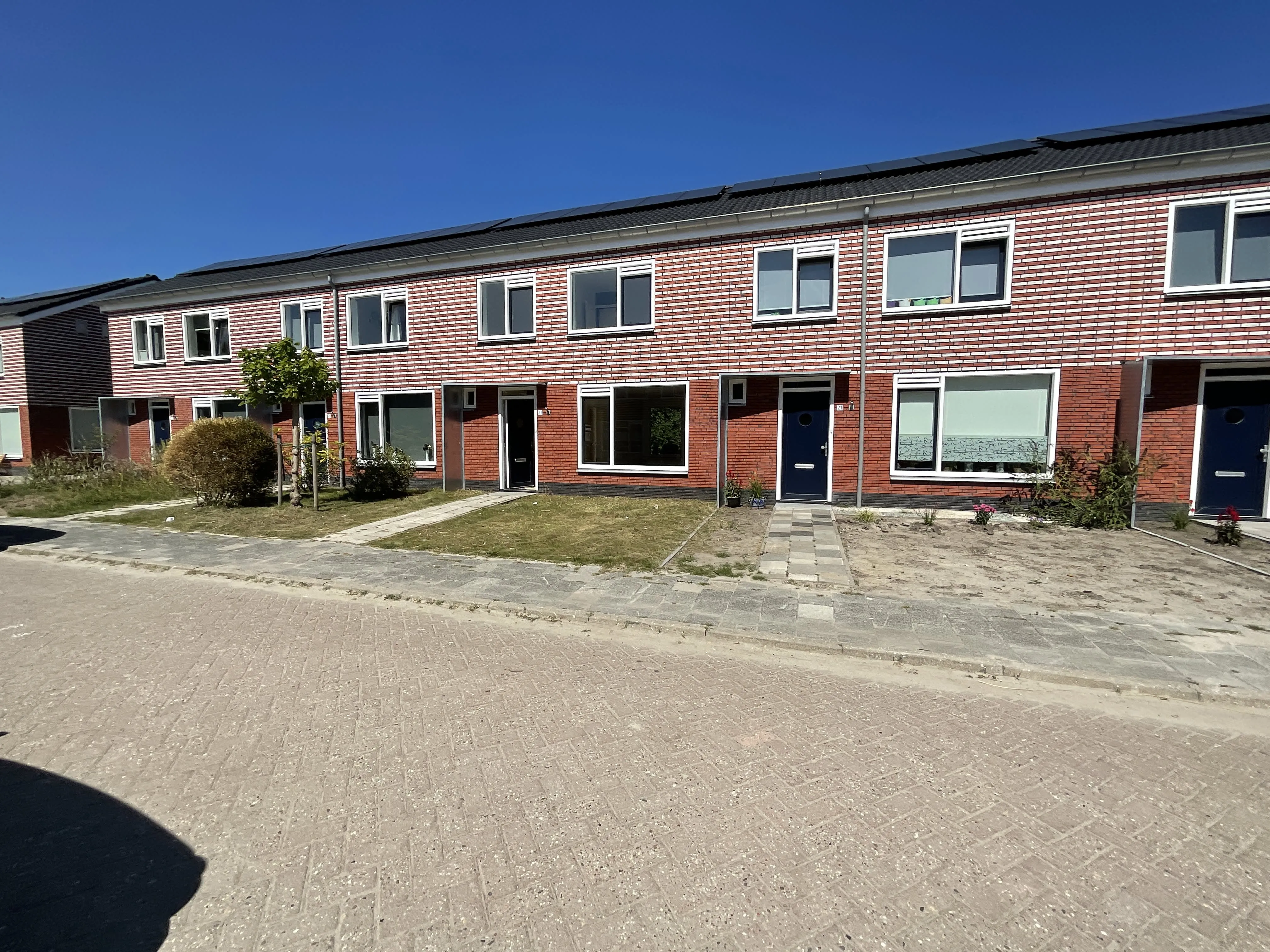 Witsenborgstraat