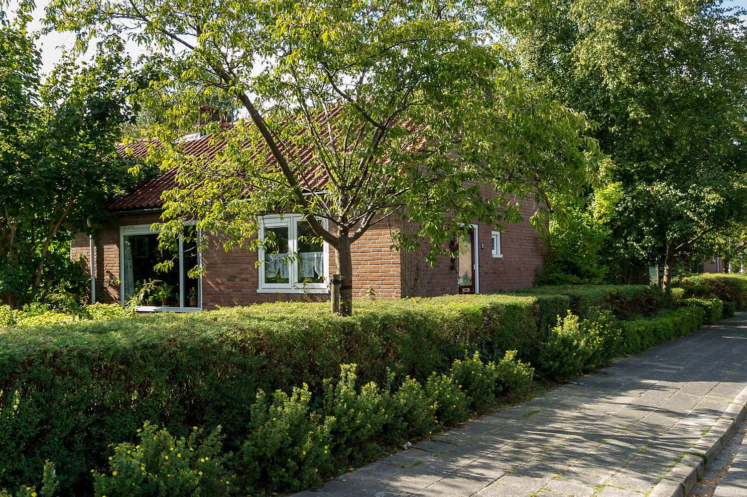 Geelgorsstraat