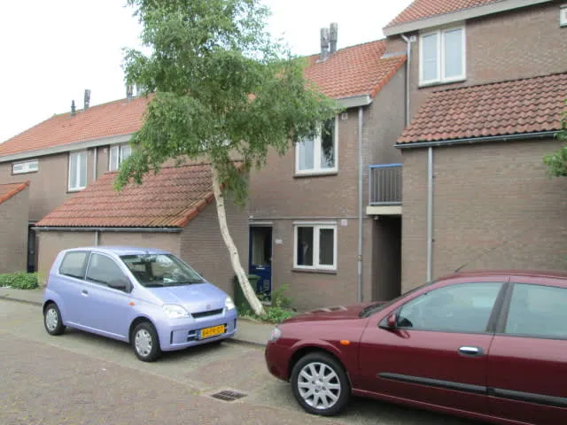 Kalf