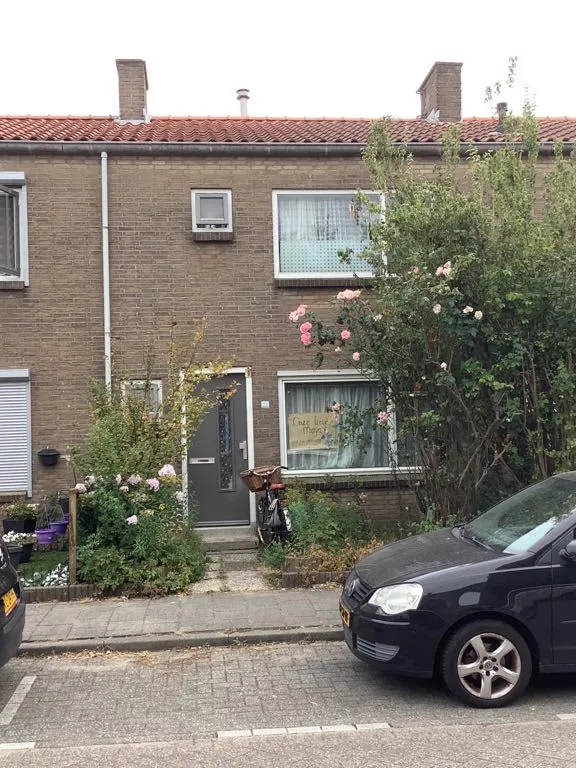 Korenbloemstraat