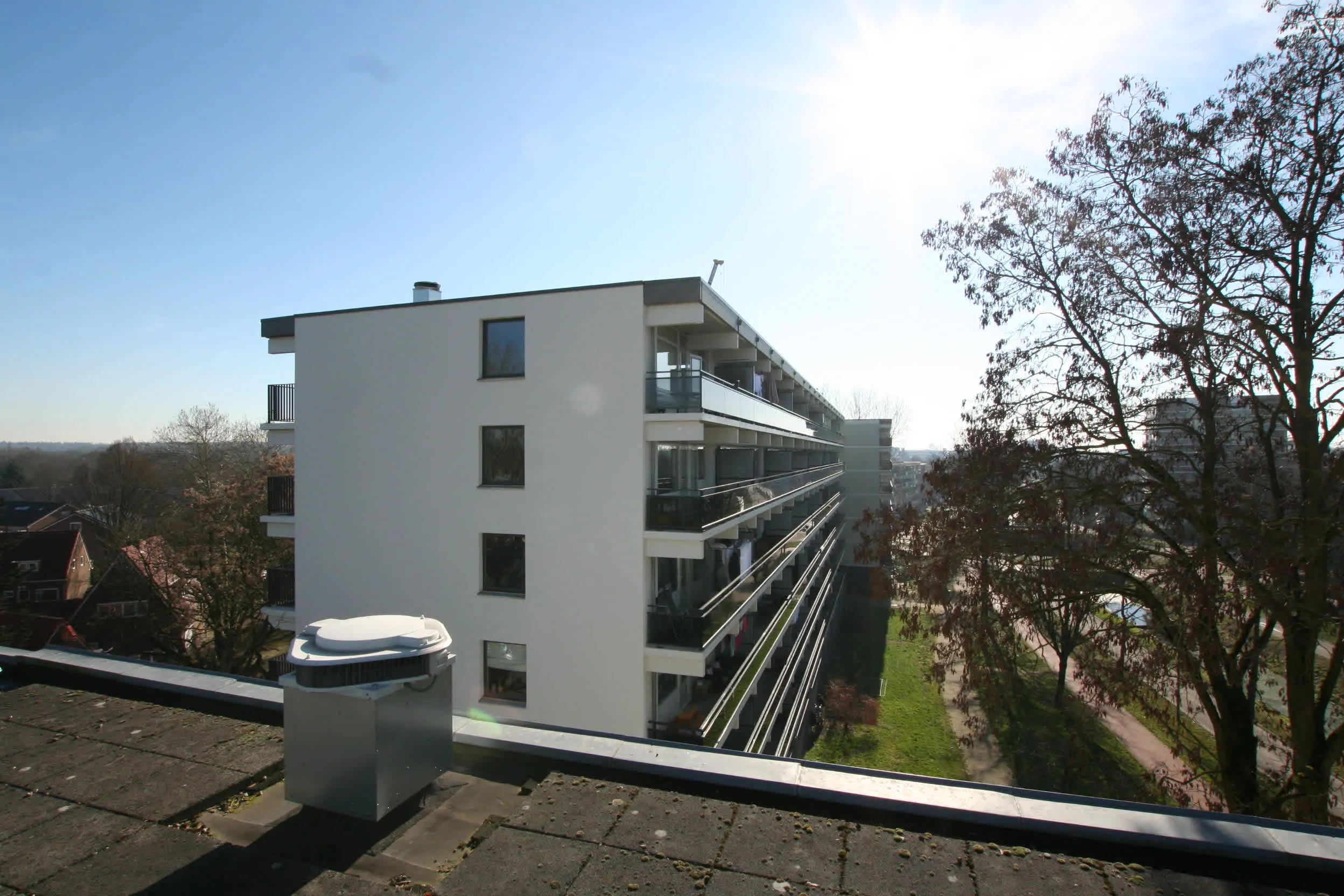 Asterstraat