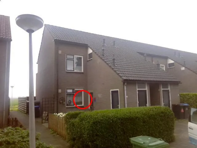 Korenbloemstraat