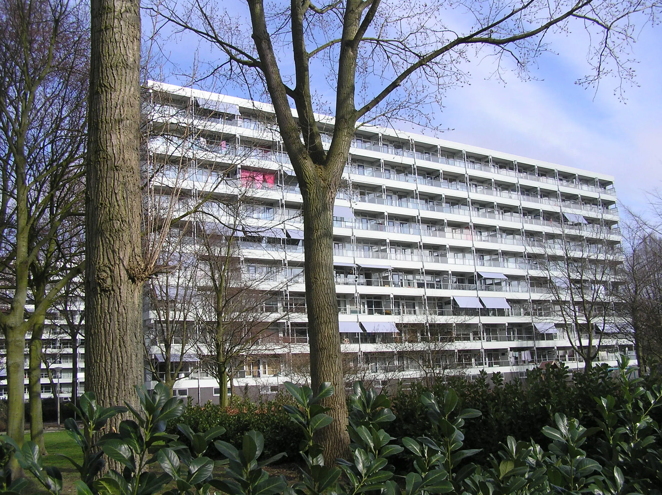 de Beuk