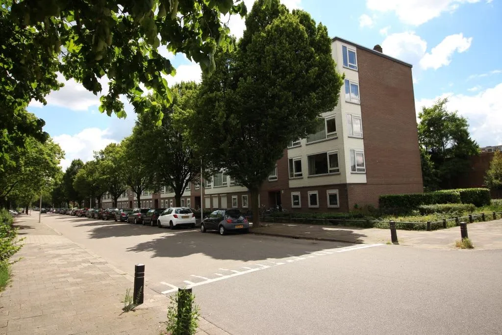 Livingstonelaan