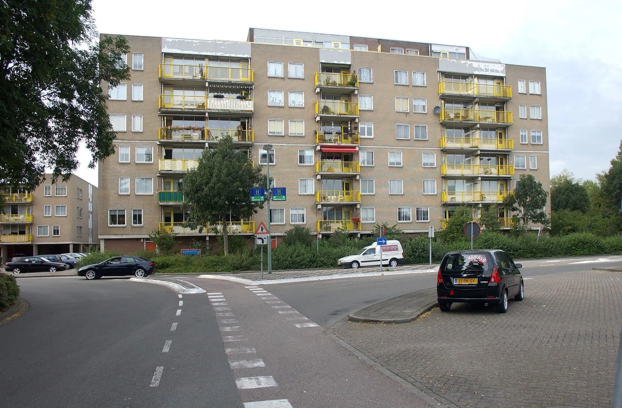Bisonspoor