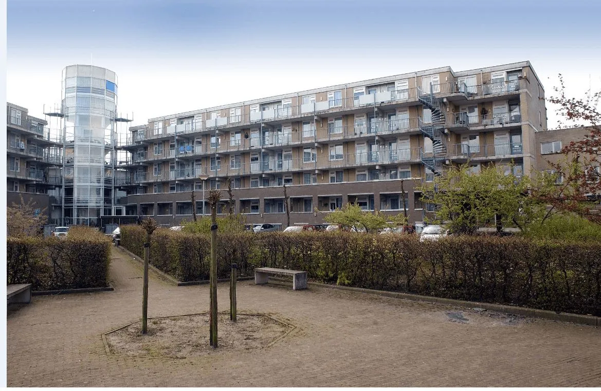 Scheltussingel