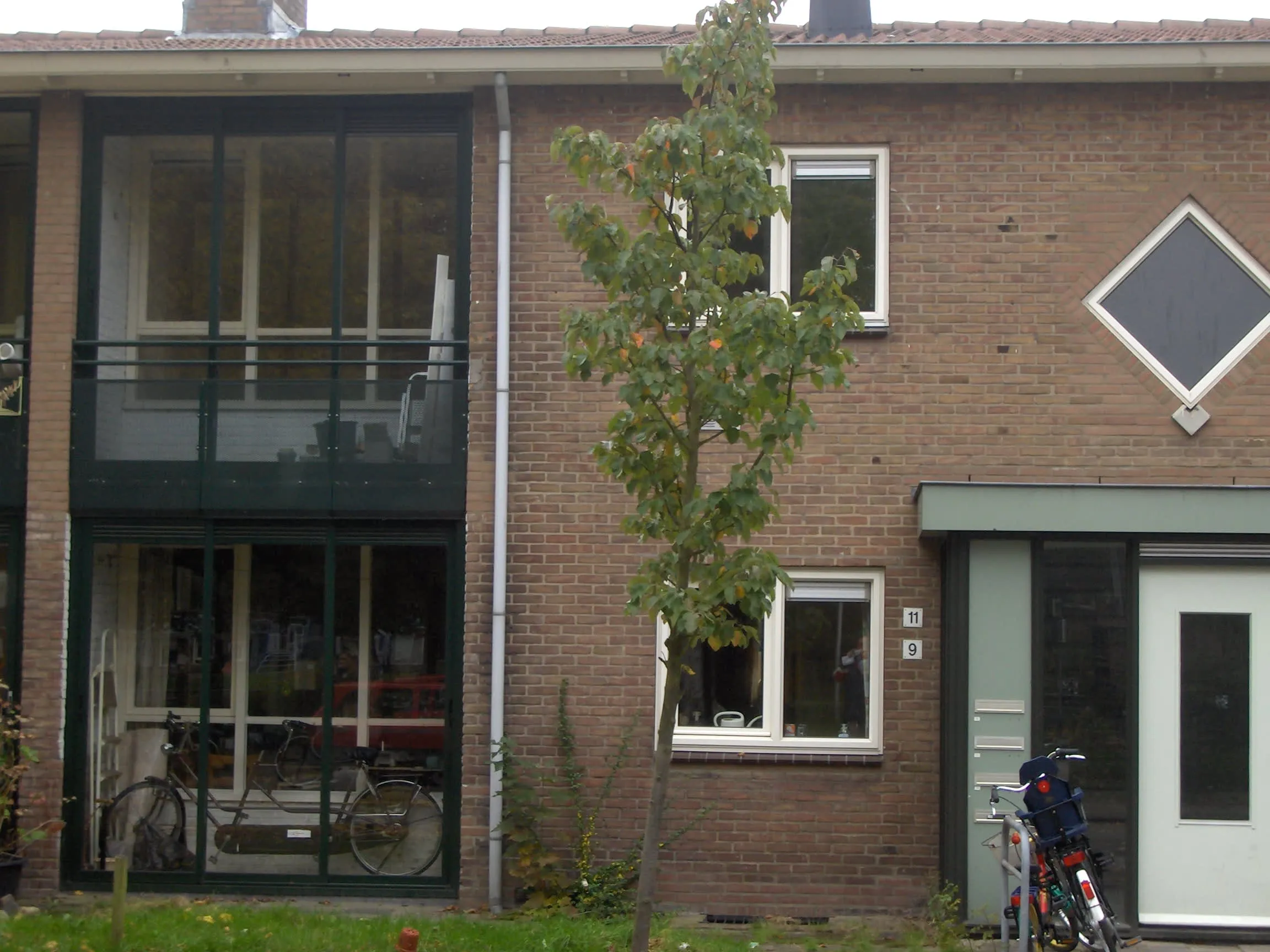 Cort van der Lindenlaan