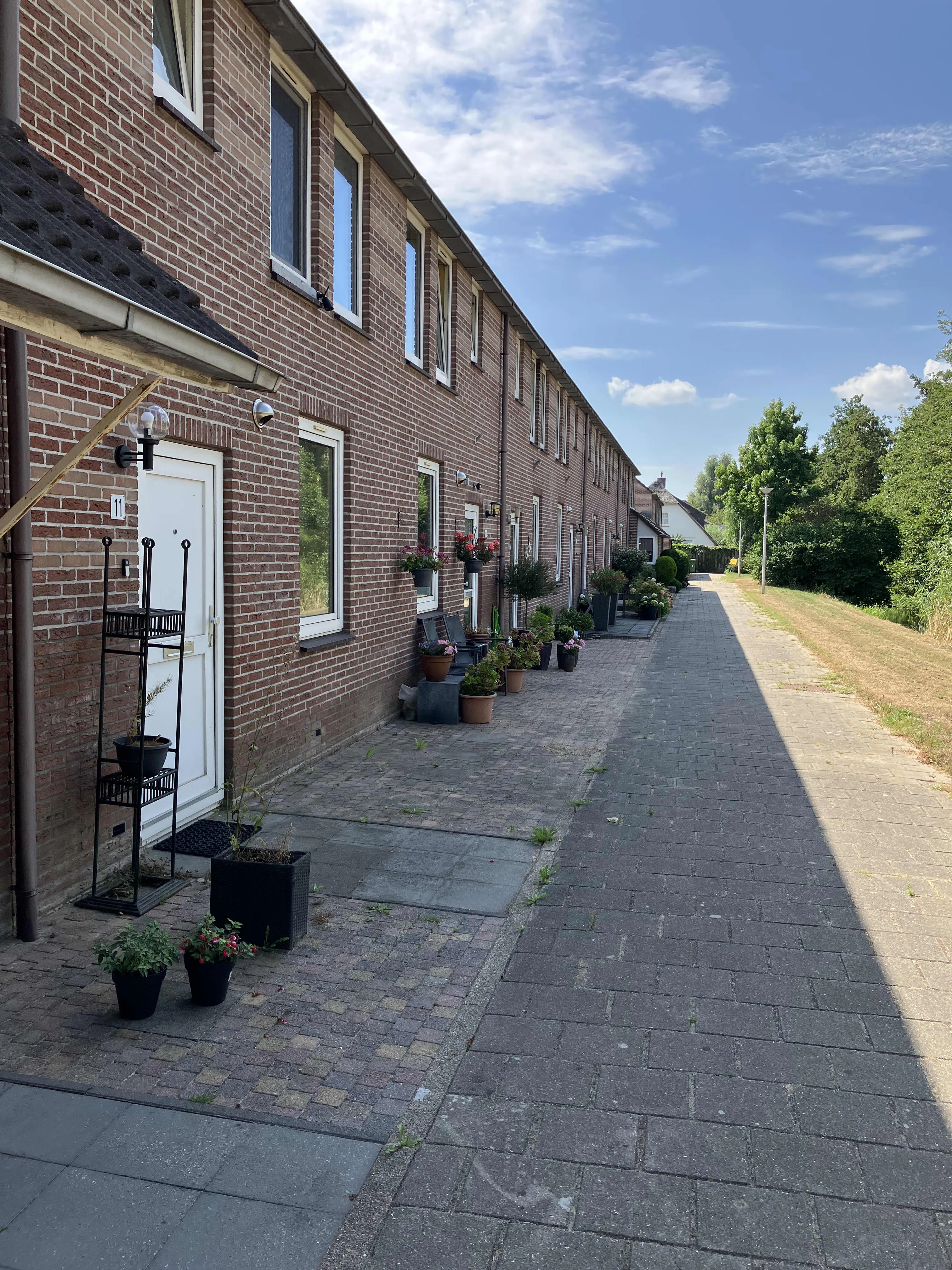 Rijnesteijn