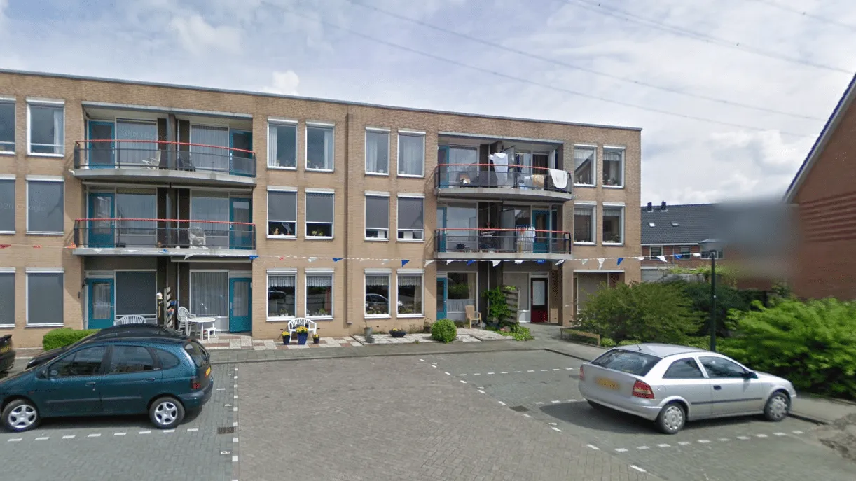 Ooievaar