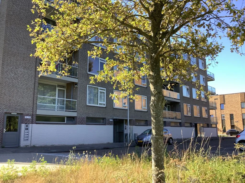 Vechtplantsoen