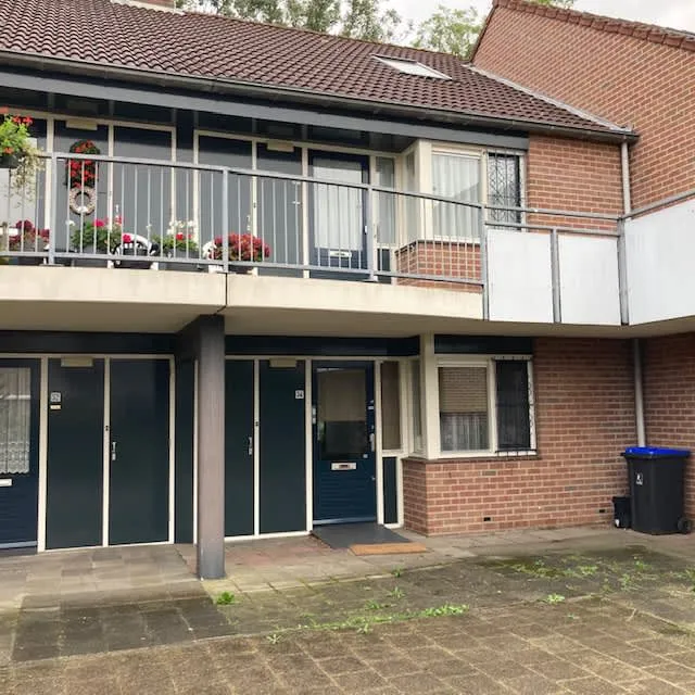 Dorpszicht