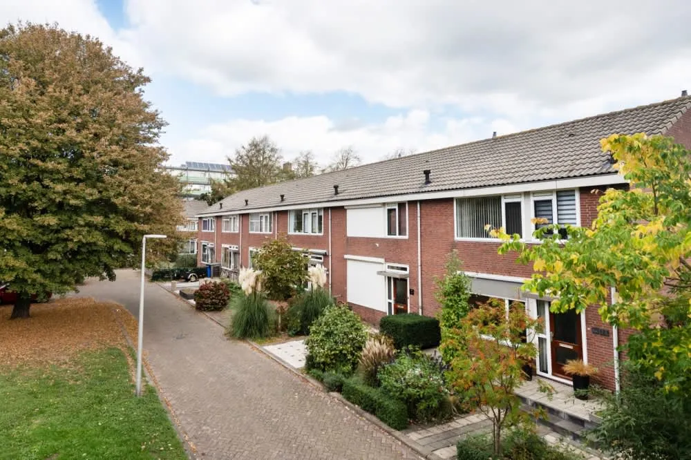 Roerdompstraat