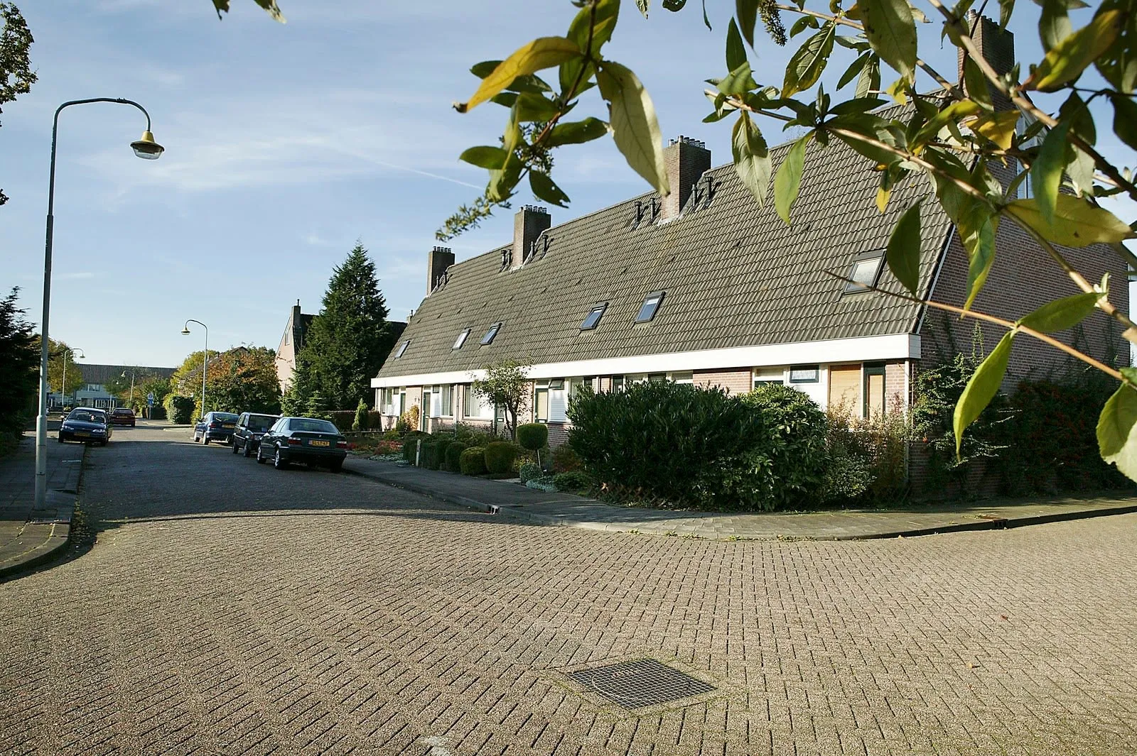 Wilgenroos 6 4102KL Culemborg