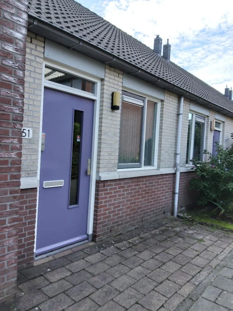 Professor Pelstraat