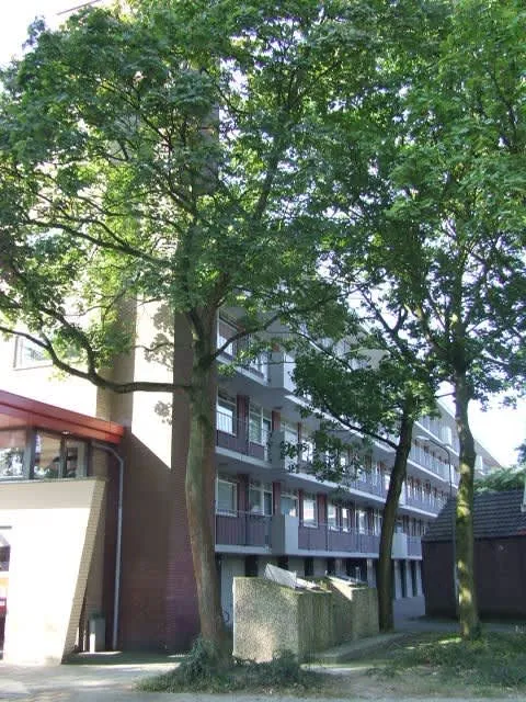 Troelstraweg