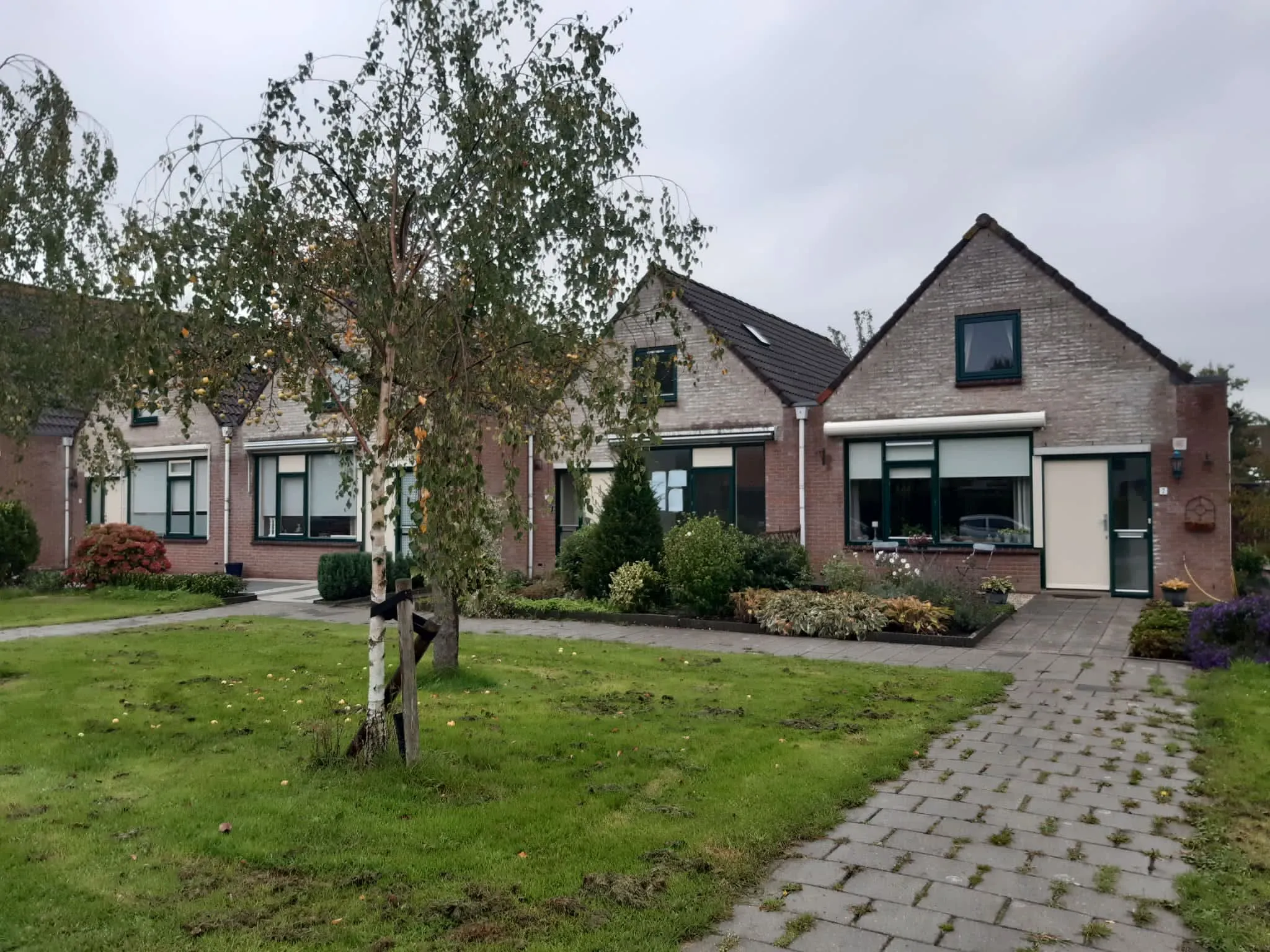 Hoefijzer
