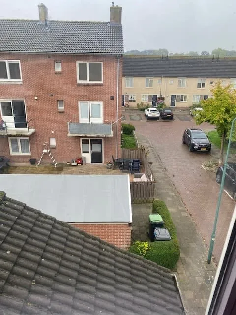 Gerard Terborchstraat
