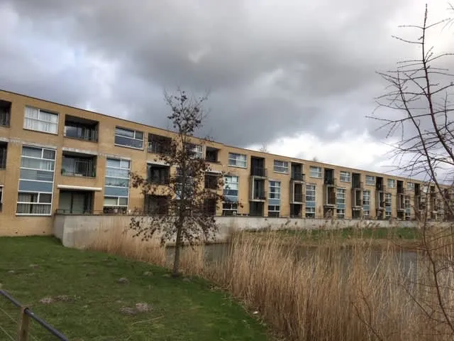 Tureluurweg