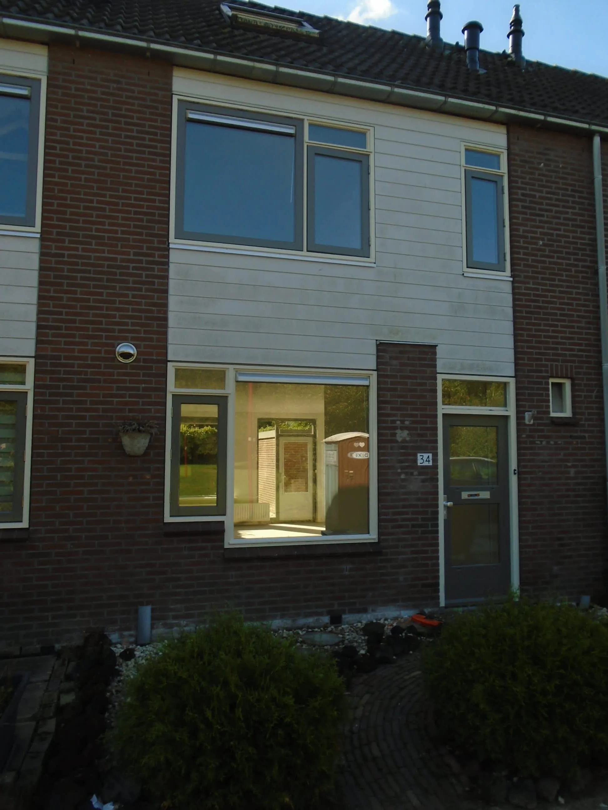 Zilvermeeuw