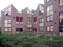 Zetveld