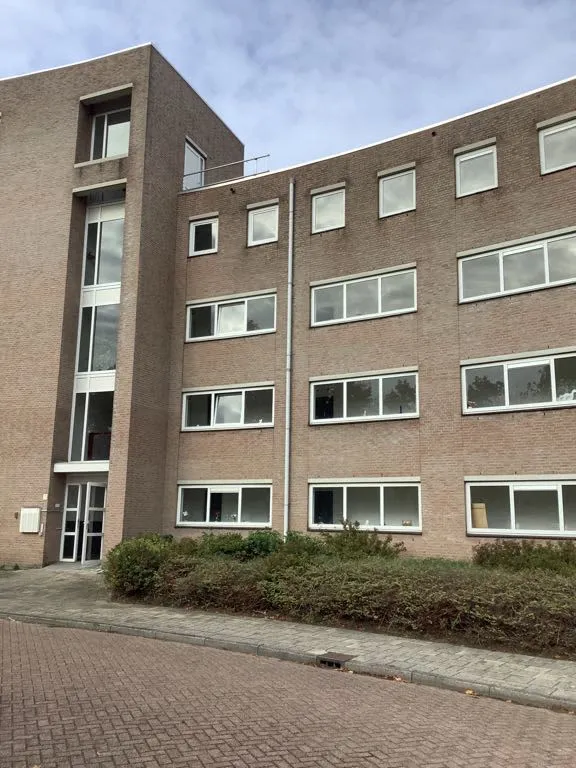 Bosbesplein