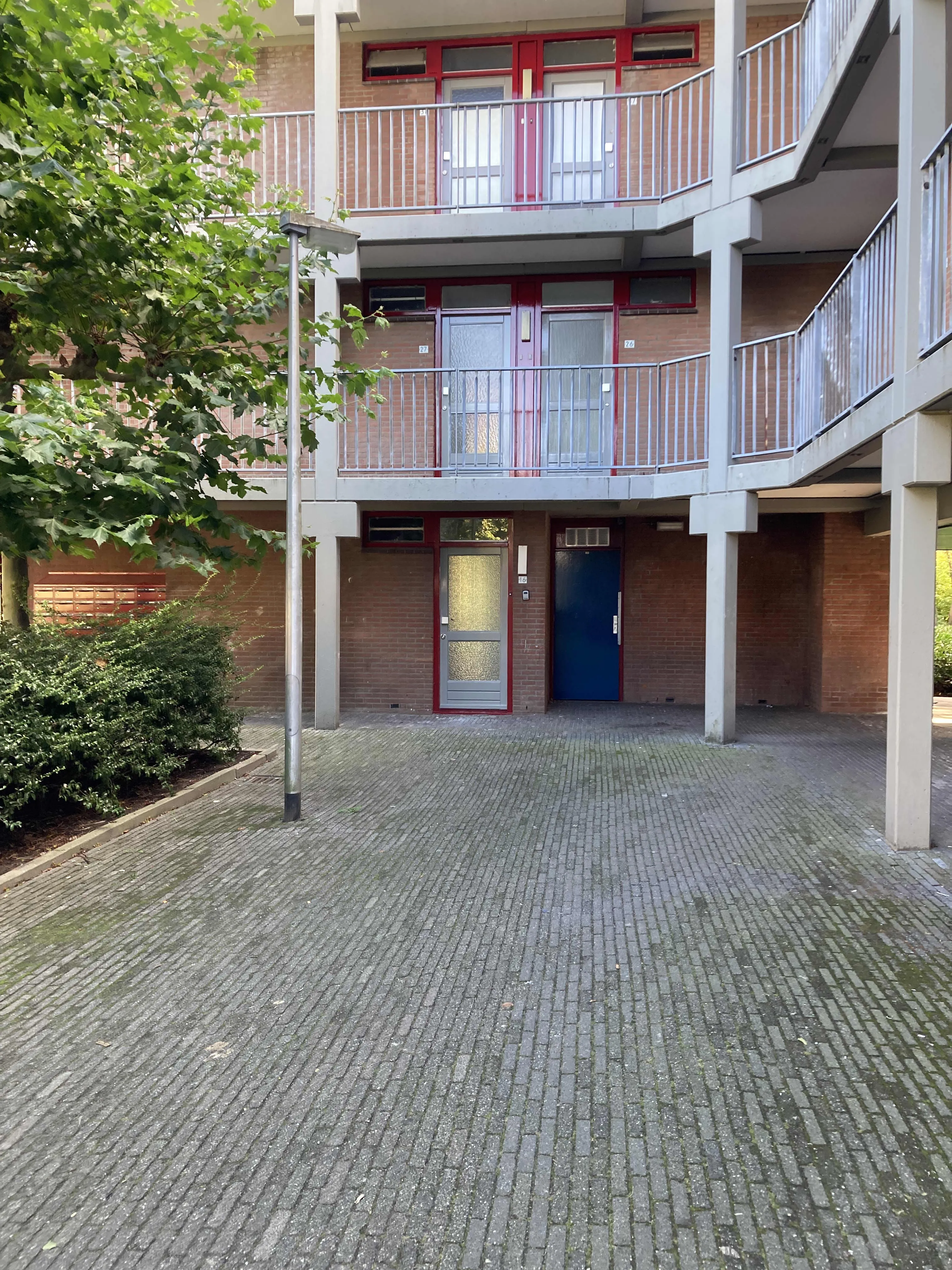 Zwanebloem