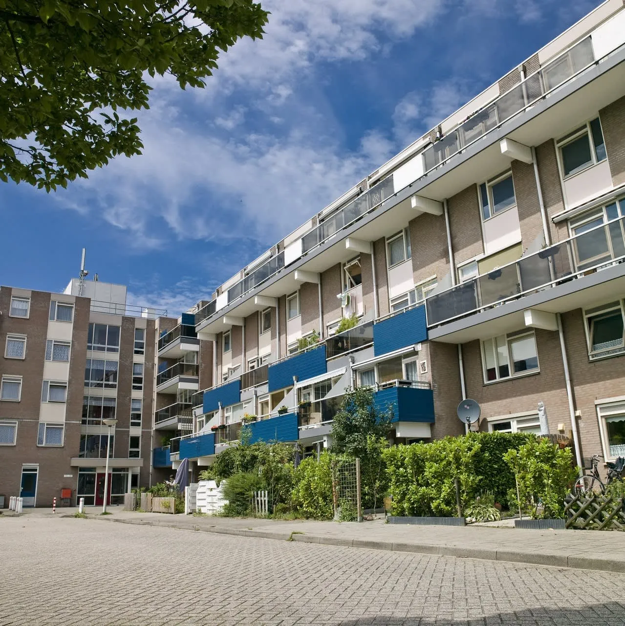 Eikelakkers