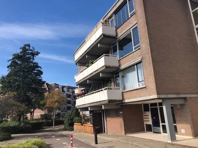 Eendendaal