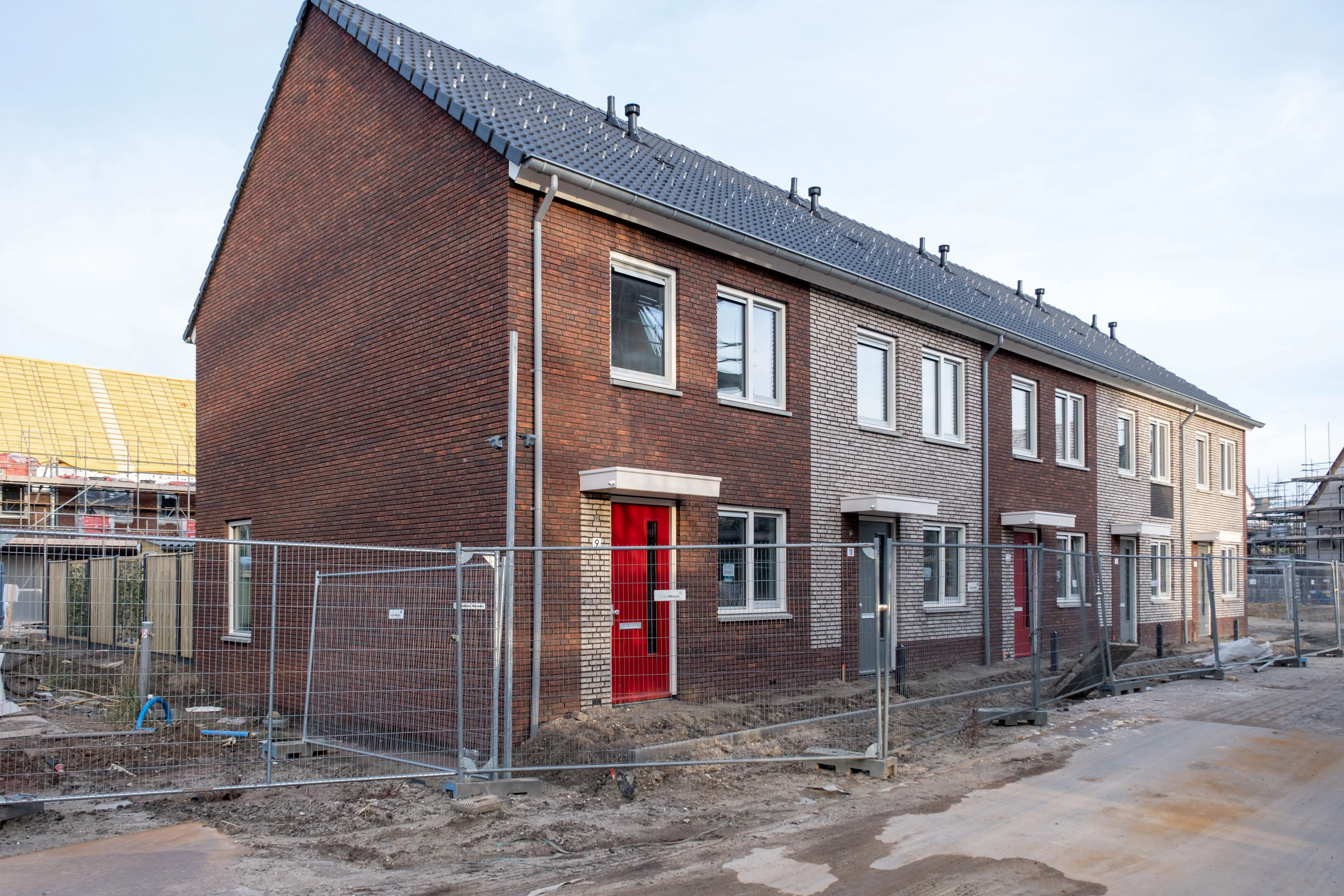 Kolenboer