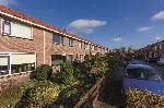 Kievitstraat