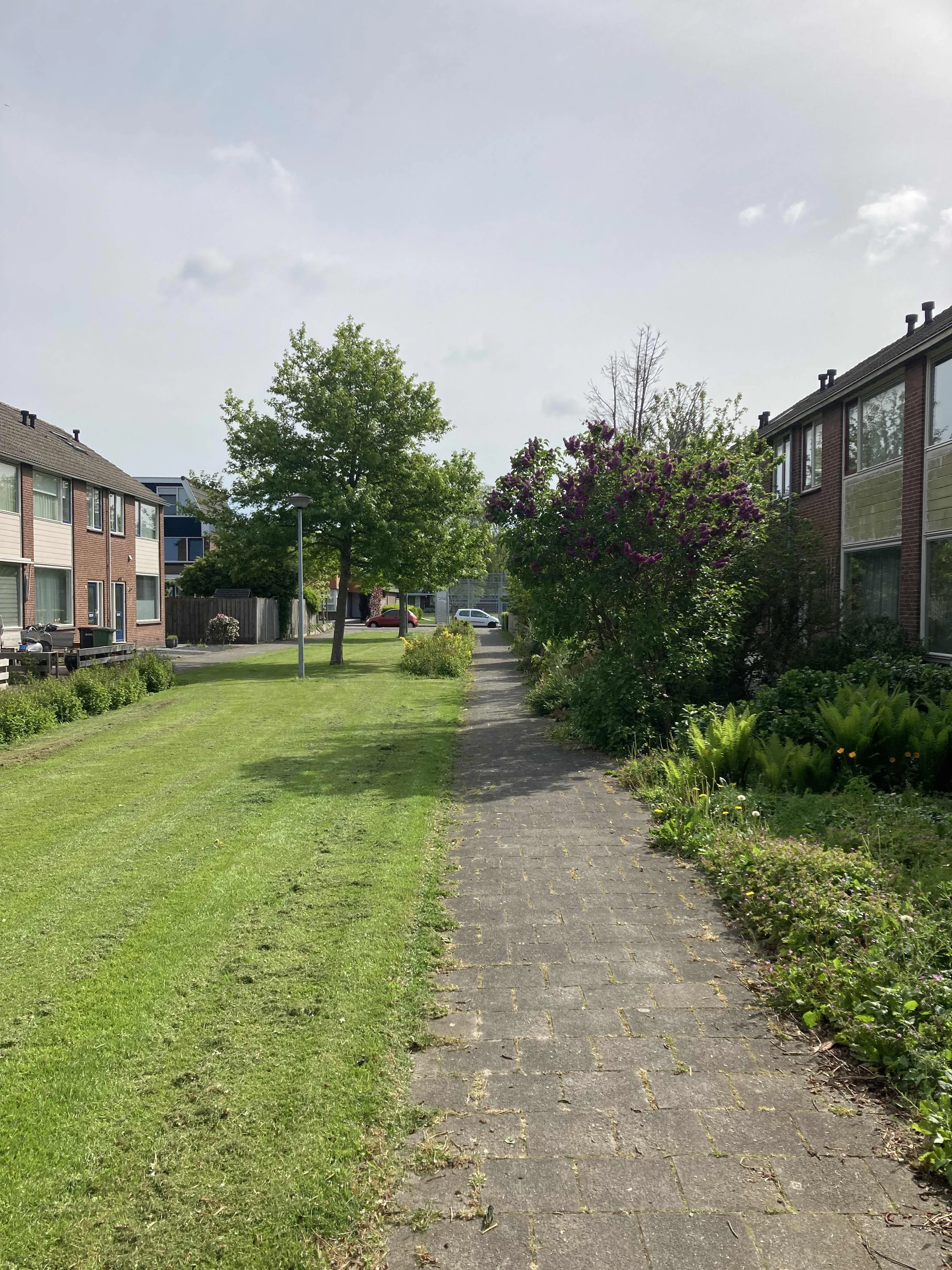 Watermuntstraat