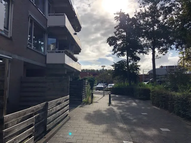 Eendendaal
