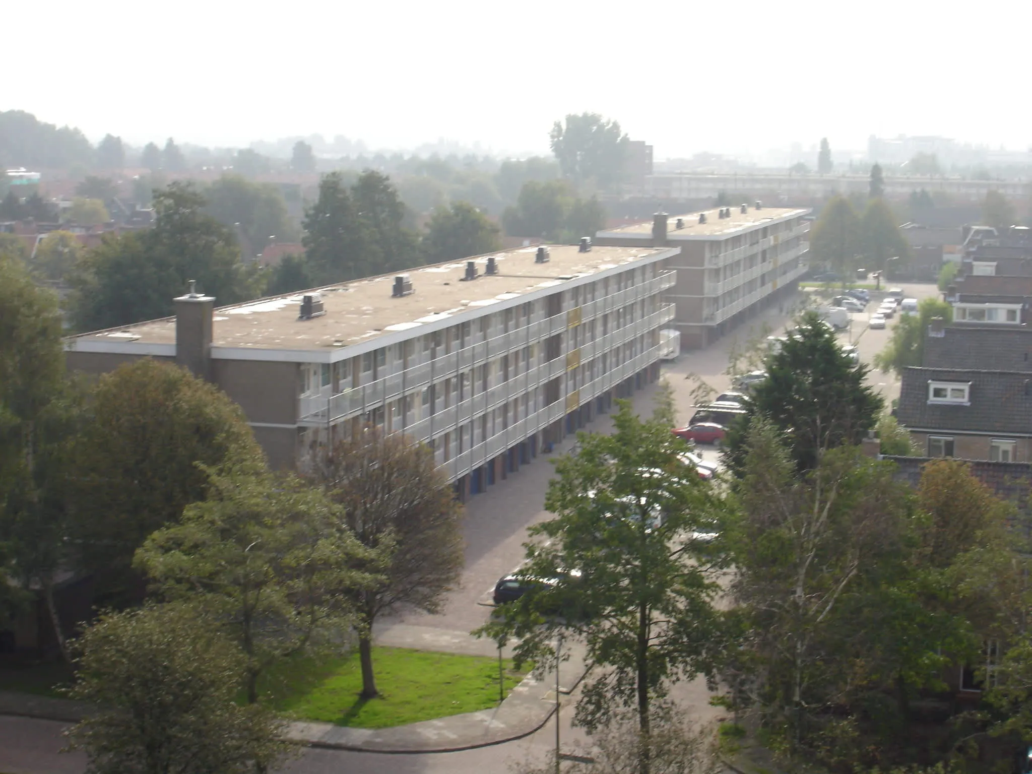 Wollegrasstraat