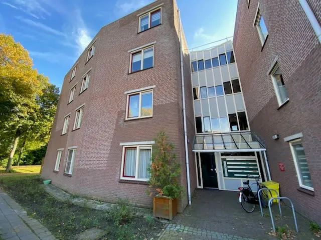 Korenbloem
