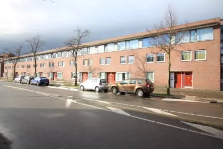 Rijnlaan