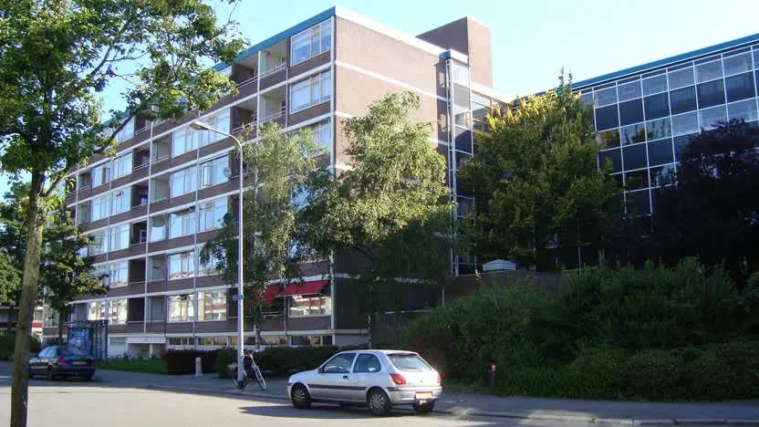 Plutolaan