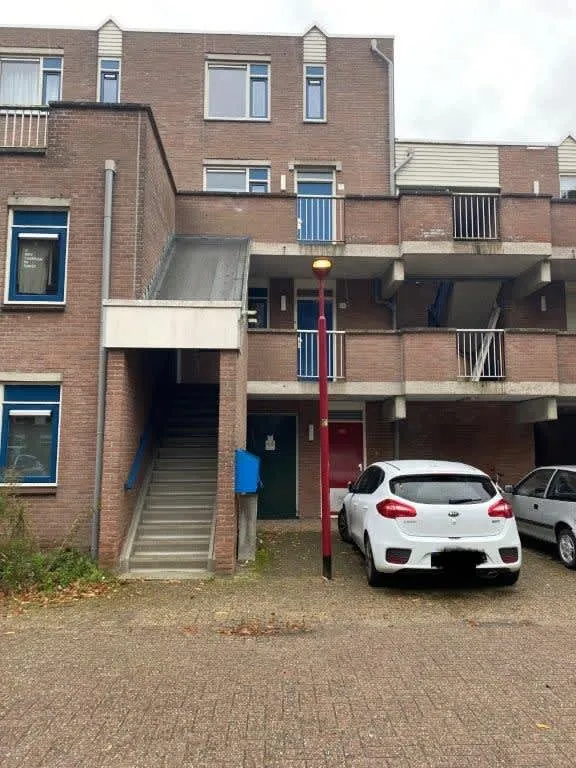 Aalscholver